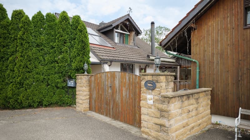 Cozy House with Two Outbuildings and Surroundings in Romanshorn (4)