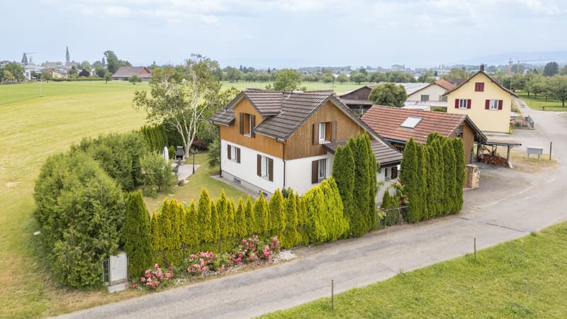 Cozy House with Two Outbuildings and Surroundings in Romanshorn (1)