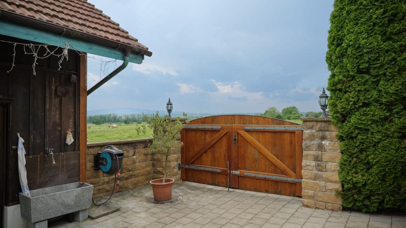 Cozy House with Two Outbuildings and Surroundings in Romanshorn (3)