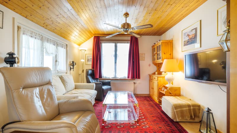 Cozy House with Two Outbuildings and Surroundings in Romanshorn (8)