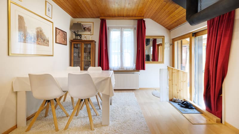 Cozy House with Two Outbuildings and Surroundings in Romanshorn (7)