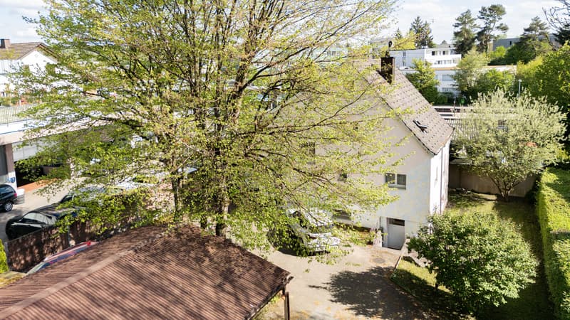 Maison 5,5 pièces avec bâtiment de bureaux et terrain à bâtir en zone centrale (2)