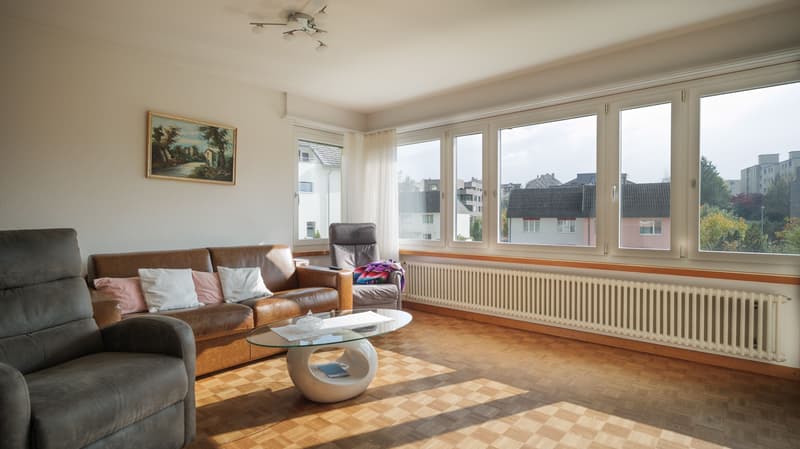 Magnificent Multi-Generation House in Hochdorf (2)