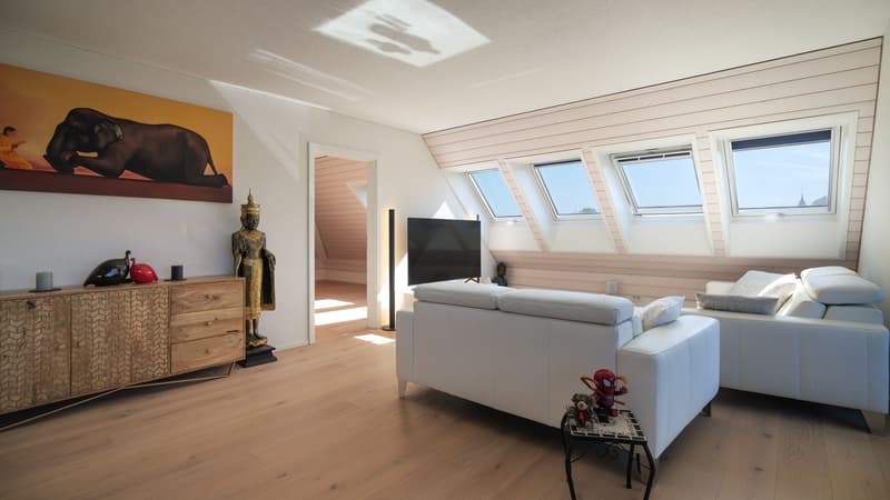 Appartement élégant de 3,5 pièces sous les toits à Hüniken (3)