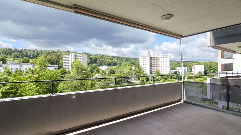 Bello appartamento di 2,5 locali a Zurigo (5)