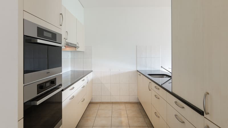 Bello appartamento di 2,5 locali a Zurigo (8)