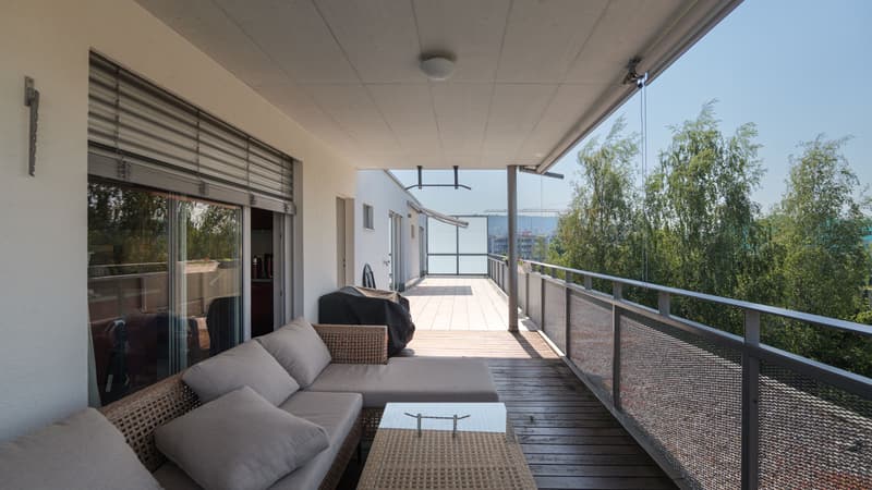 Modern 4.5-room apartment in Dietikon including hobby room (4)