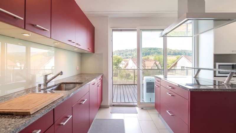 Modern 4.5-room apartment in Dietikon including hobby room (7)