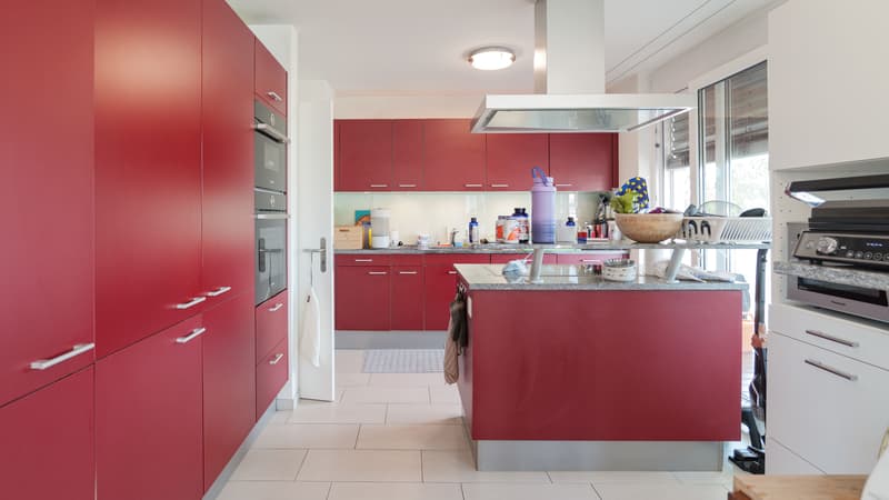Modern 4.5-room apartment in Dietikon including hobby room (6)
