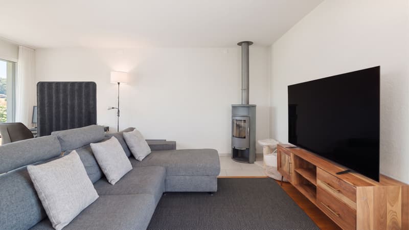 Modern 4.5-room apartment in Dietikon including hobby room (2)