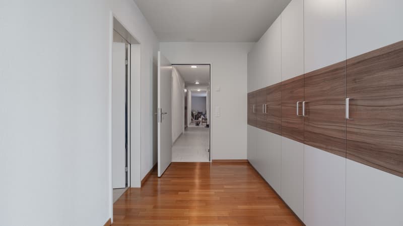 Modern 4.5-room apartment in Dietikon including hobby room (8)