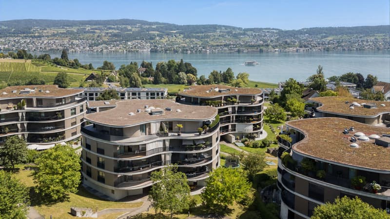 Modern 4.5-room apartment with lake view in Au ZH (1)