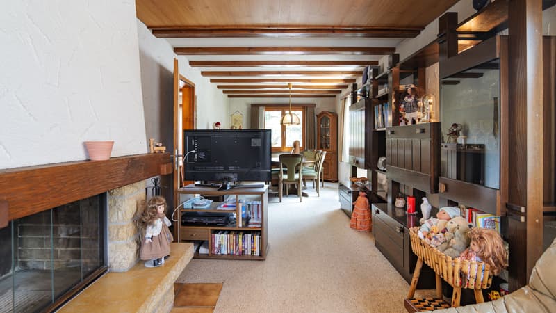 Maison de 5 pièces charmante à un emplacement idéal avec potentiel de construction à Büsserach (6)