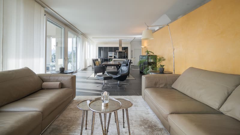 Loft exclusif de 5,5 pièces à Wohlen (1)