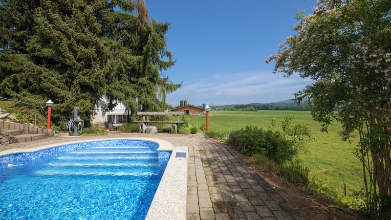 Grosszügiges 4.5-Zimmer-Haus mit Pool in Nesselnbach (3)