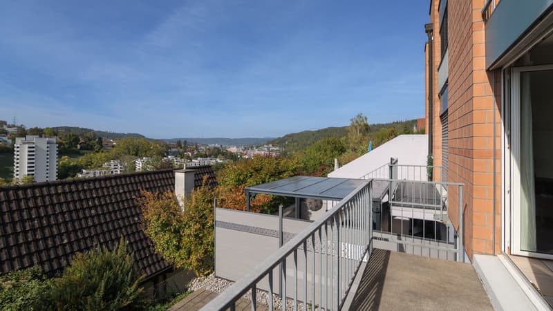 Wunderbares 5.5 Zimmer-Reihenmittelhaus in Liestal (2)