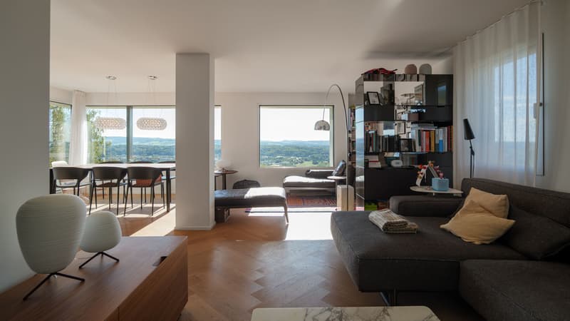 4.5-Zimmer-Haus mit grandioser Aussicht in Widen (6)