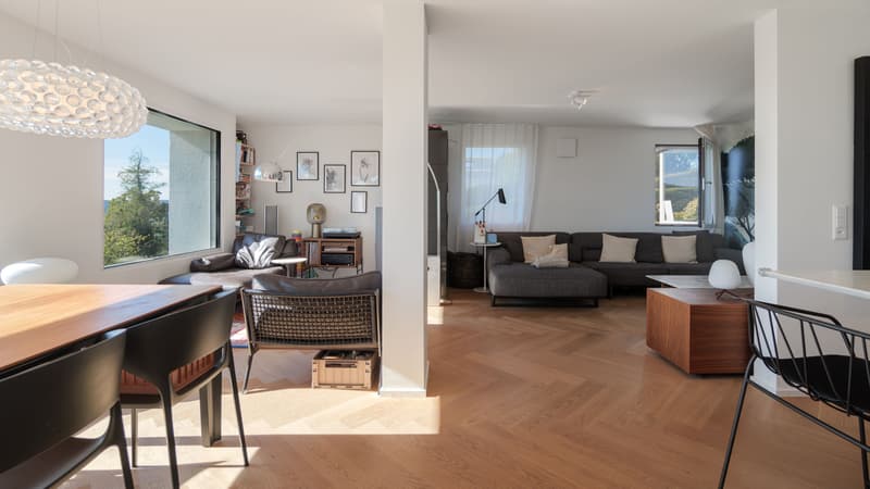 4.5-Zimmer-Haus mit grandioser Aussicht in Widen (2)