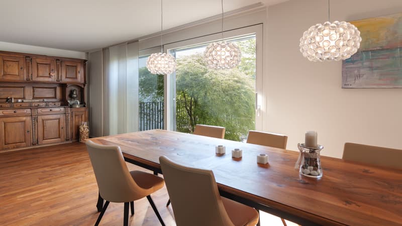 Modernes 5.5-Zimmer-Eckhaus mit 193 m² Wohnfläche, Garten und viel ... (6)