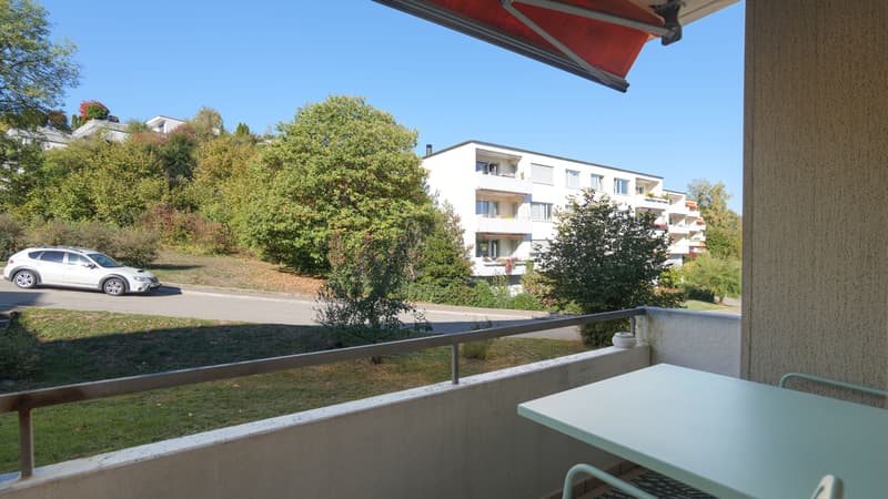 Gemütliche 3.5-Zimmer-Wohnung in Baden (8)
