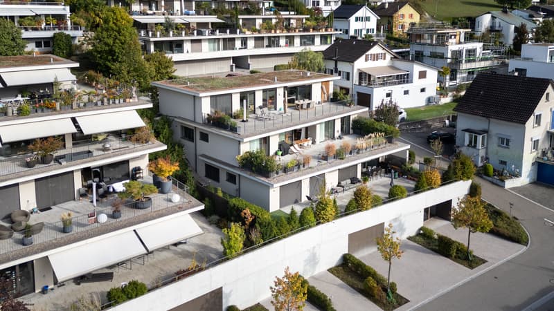 Grosszügige 4.5-Zimmer-Terrassenwohnung in Gebenstorf (1)