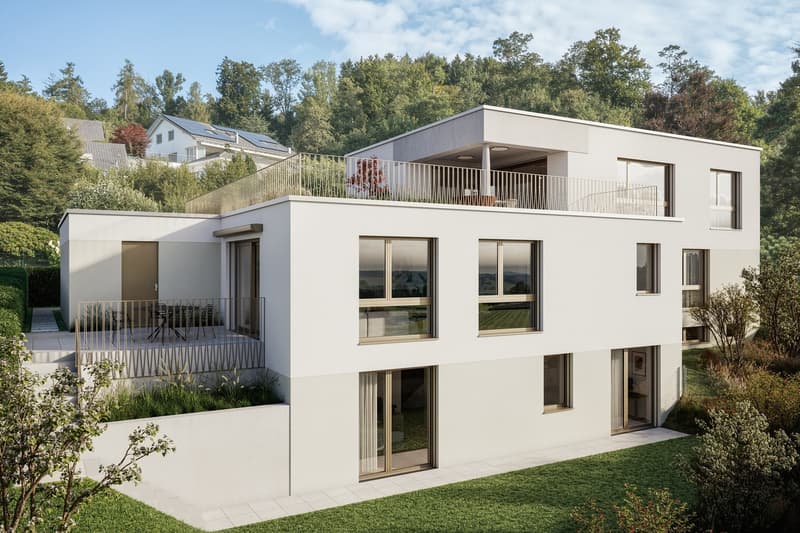 Appartamento esclusivo di 3,5 locali completamente nuovo in posizione collinare ideale a Widen (2)