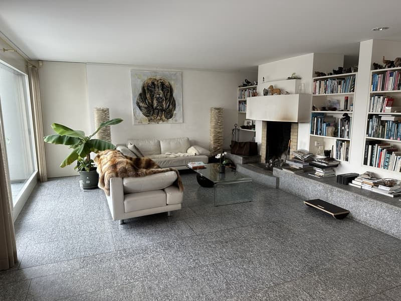 Exclusive terrace living with a far-reaching view (11)