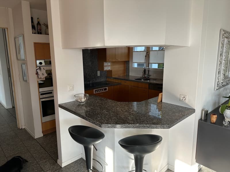 Exclusive terrace living with a far-reaching view (9)