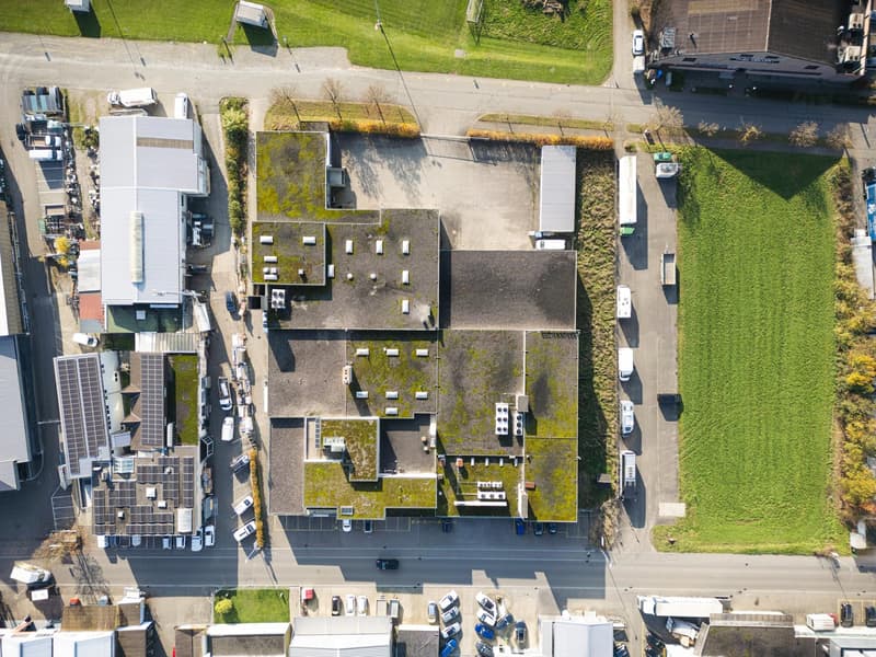 An industrial building complex with several structures and roofs covered with moss. Parking spaces are available in front of the buildings, and a parking lot with several cars is on the right side.