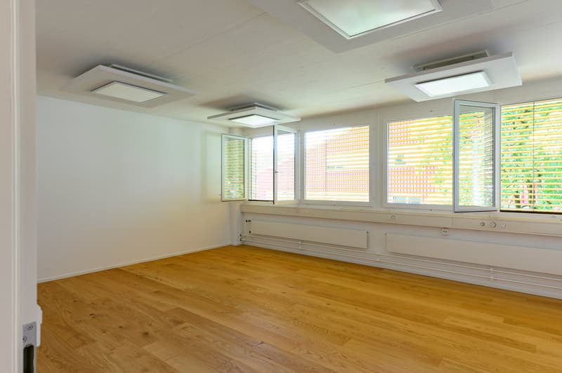 Bright office / practice space for rent in Rudolfstetten (1)