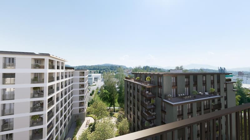 Appartement 5,5 pièces à Affoltern am Albis (5)