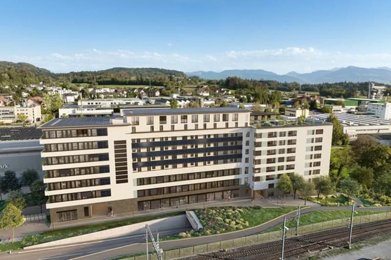 3.5 Zimmerwohnung in Affoltern am Albis (6)