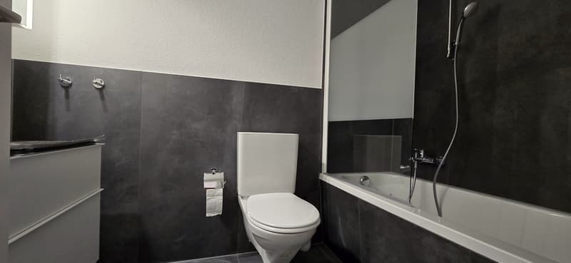Freshly renovated 4.5-room apartment directly next to kindergarten and primary school (8)