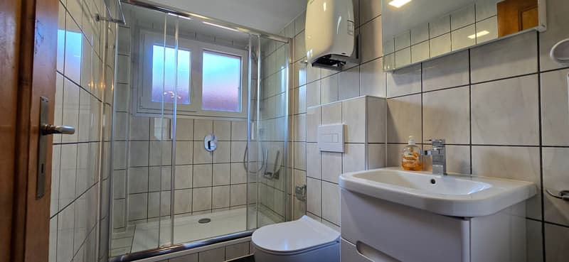 Investing where others dream - Your Airbnb jewel in the Bernese Oberland (9)