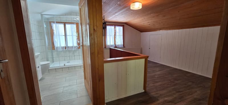 Investing where others dream - Your Airbnb jewel in the Bernese Oberland (13)