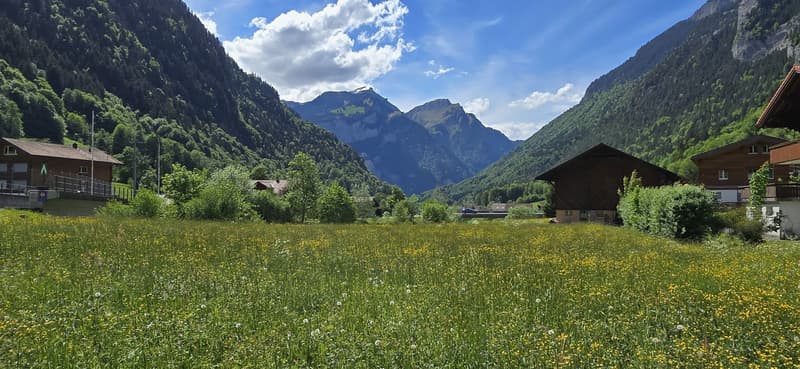 Investing where others dream - Your Airbnb jewel in the Bernese Oberland (5)