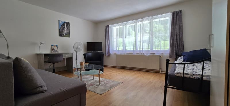 Investieren, wo andere träumen - Ihr AirBnB-Juwel im Berner Oberland (6)