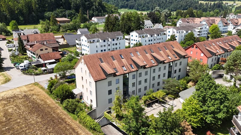 Luftaufnahme hinten
