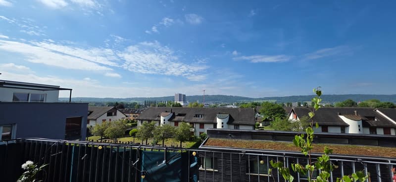 Moderne 4.5-Zimmer-Attika-Maisonette in ökologischer Vorzeige-Siedlung mit grosser Terrasse (7)