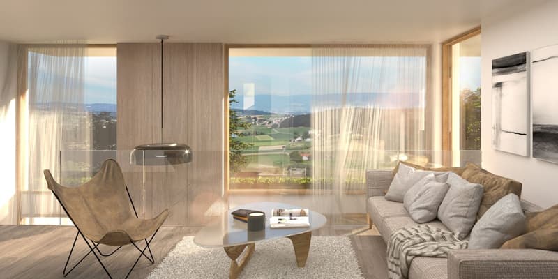 The Domaine du Blanchet - Spacious contemporary villas between town and nature (3)
