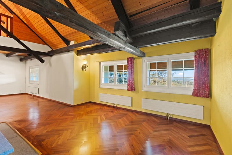 Character property in Ependes – exceptional volumes and privileged environment (12)
