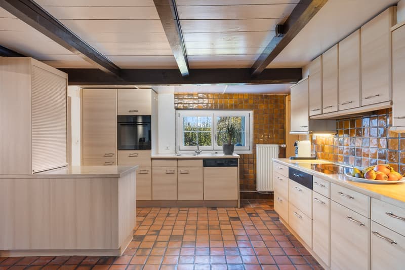 Propriété de caractère à Ependes – volumes exceptionnels et environnement privilégié (6)