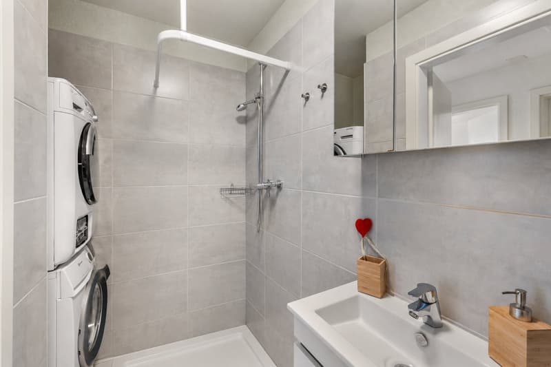 Appartement lumineux de 4.5 pièces avec jardin à Léchelles (9)