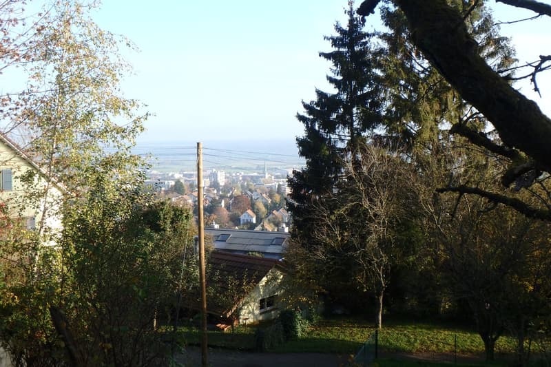Die einmalige Aussicht