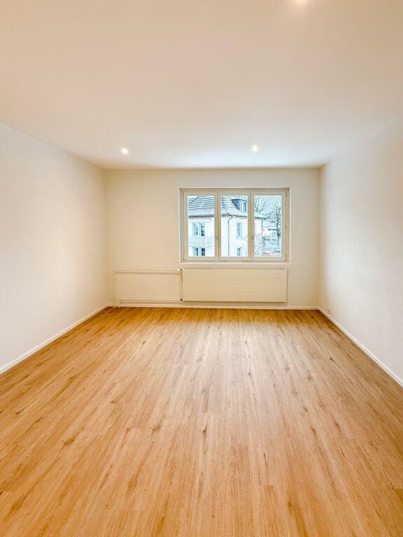 Appartamento di 3 camere a Turgi (4)