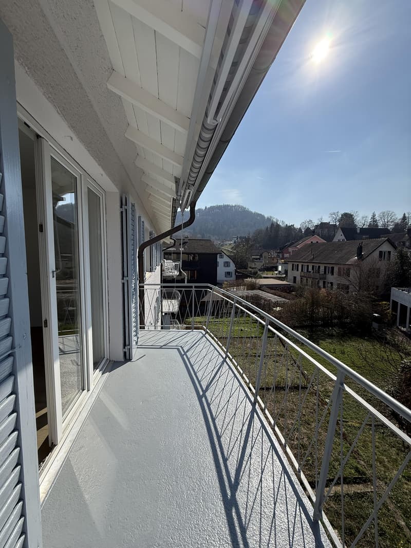 Appartamento di 3 camere a Turgi (7)