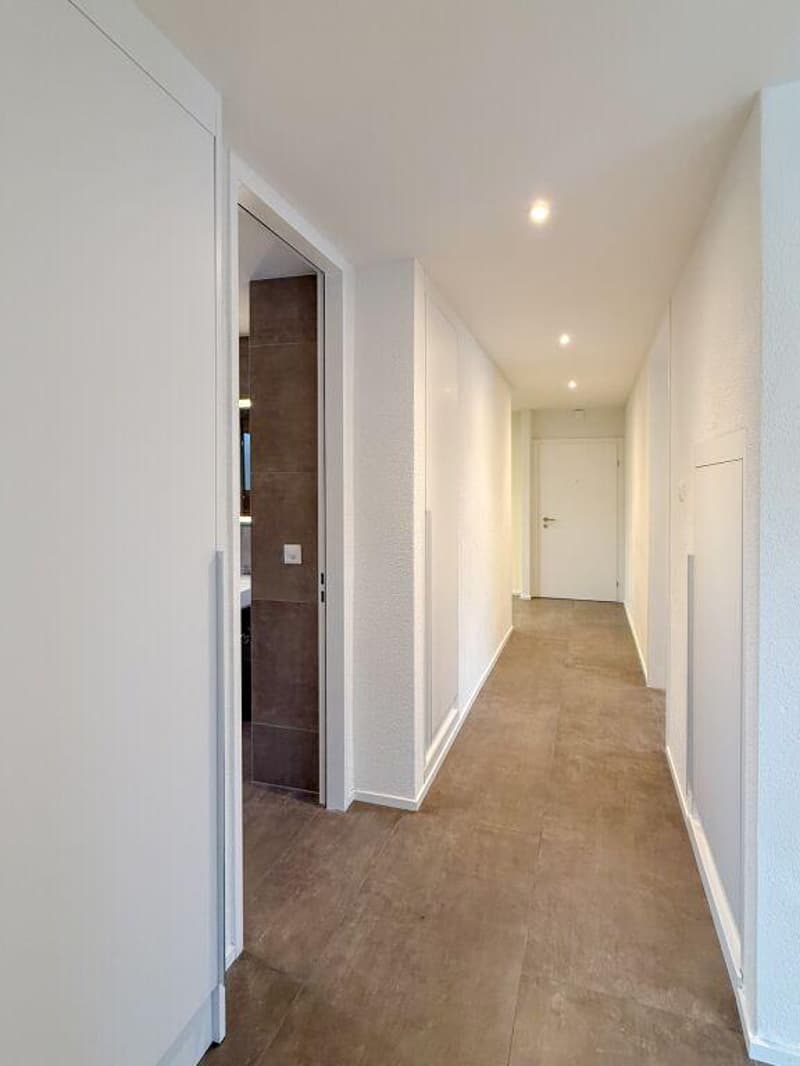 Appartamento di 3 camere a Turgi (6)