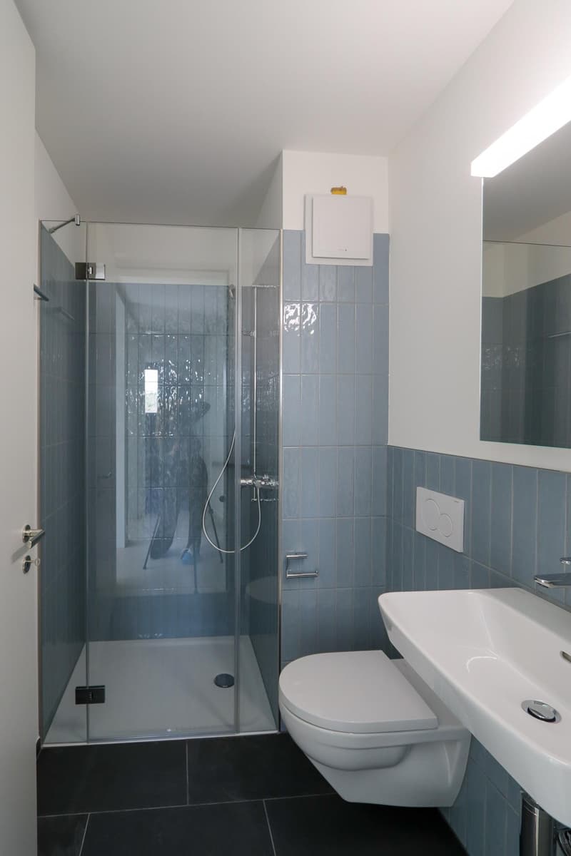 High-quality 4.5 room new apartment on the ground floor, centrally and naturally located (9)