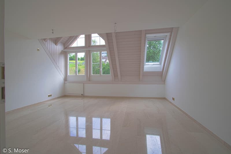 Appartement entretenu avec cheminée et haut confort de vie (6)