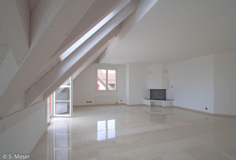 Appartement entretenu avec cheminée et haut confort de vie (3)
